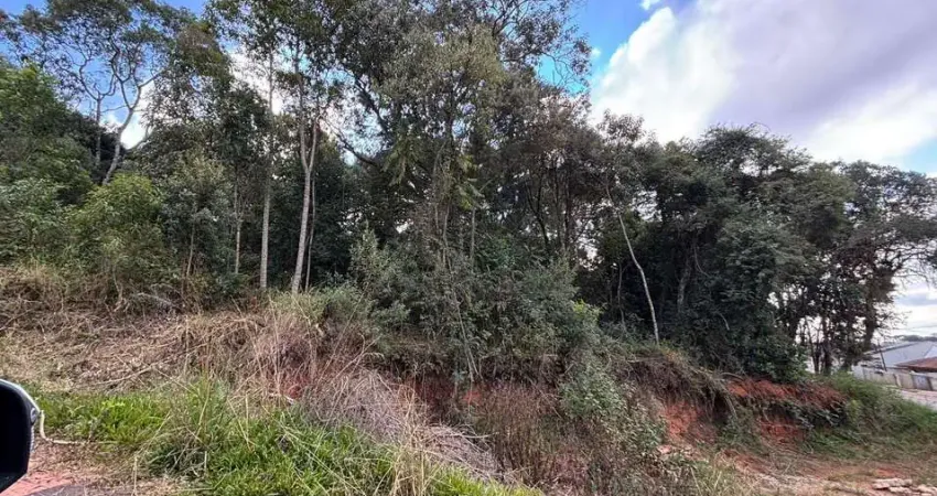 Terreno à venda, Vila Mandirituba, Mandirituba, PR