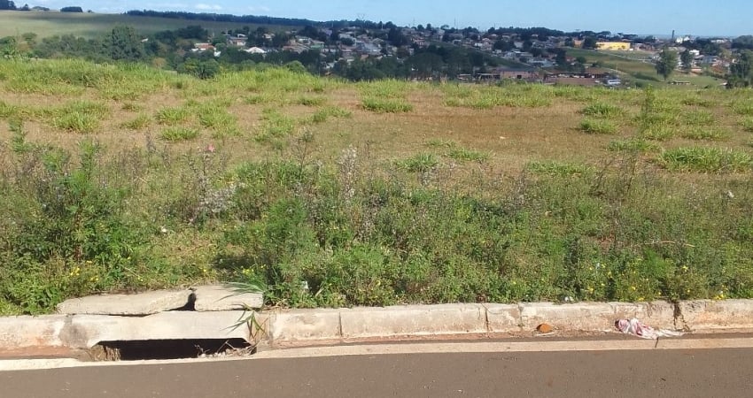 TERRENO FINANCIAMENTO DIRETO COM A CONSTRUTORA NO JARDIM DAS FLORES!