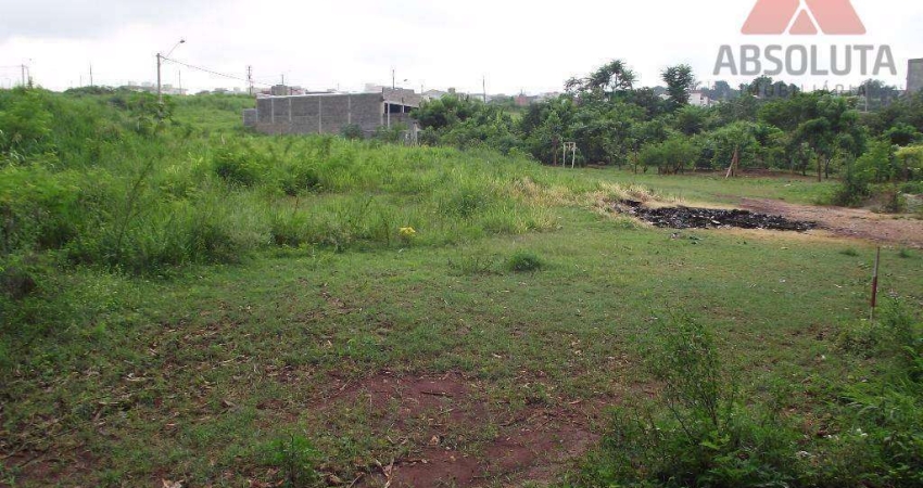 Terreno comercial para locação, Vila Cordenonsi, Americana - TE0054.