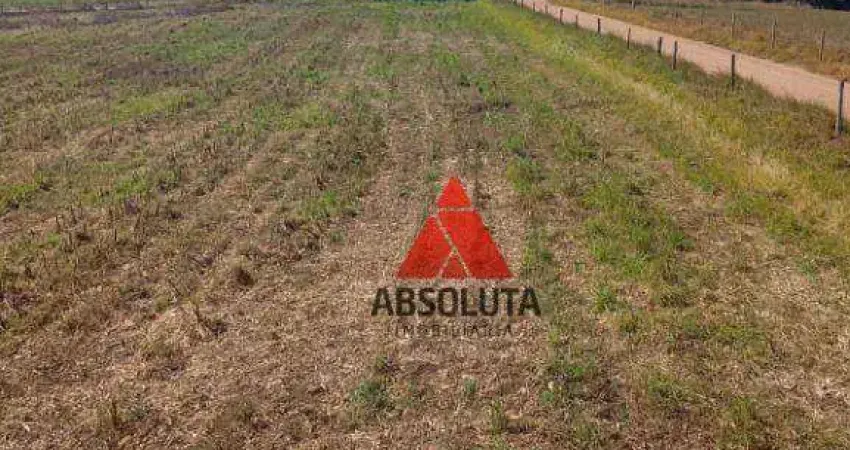 Sítio à venda, 20000 m² por r$ 500.000,00 - portal da serra - são pedro/sp