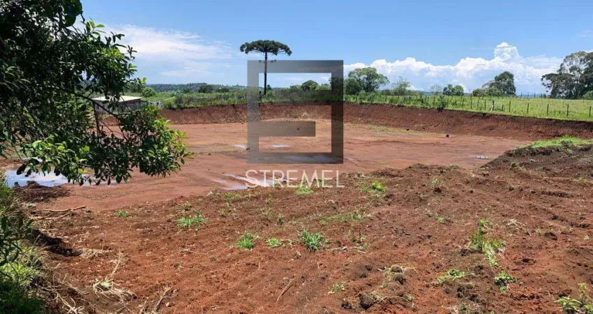 Terreno para Venda em Guarapuava, Morro Alto