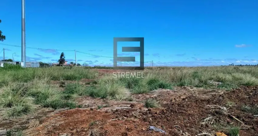 Terreno Comercial para Venda em Guarapuava, Vila Carli