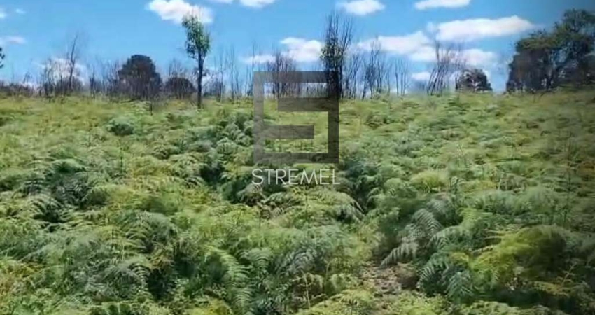 Área Rural para Venda em Guarapuava, Disrito de Entre Rios