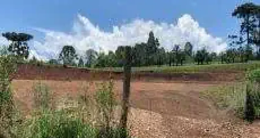 Terreno à venda no Morro Alto, Guarapuava 