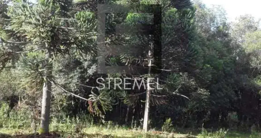 Terreno comercial à venda na Vila Jordão, Guarapuava 
