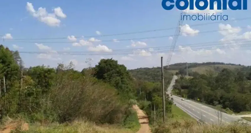 TERRENO DE 5 MIL Mts PARALELO A RODOVIA MAXIMO ZAMBOTTO