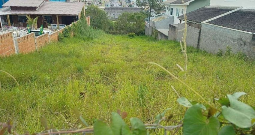 Terreno à venda na Dr. Jayme Antunes Maciel, Forquilhinhas, São José