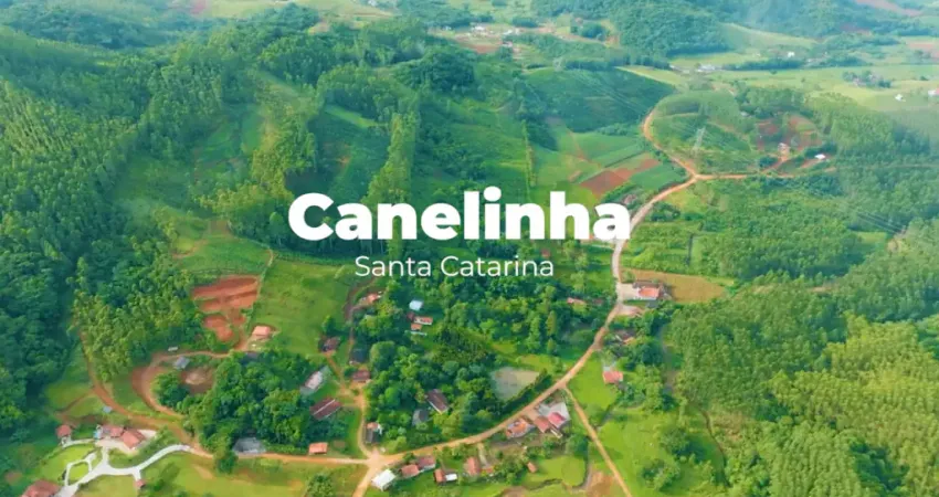 Sitio com 13,5 hectares com produção de plantas medicinais em canelinha sc
