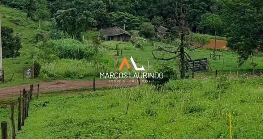 Sítio em Conjunto Habitacional Jamile Dequech, Londrina/PR
