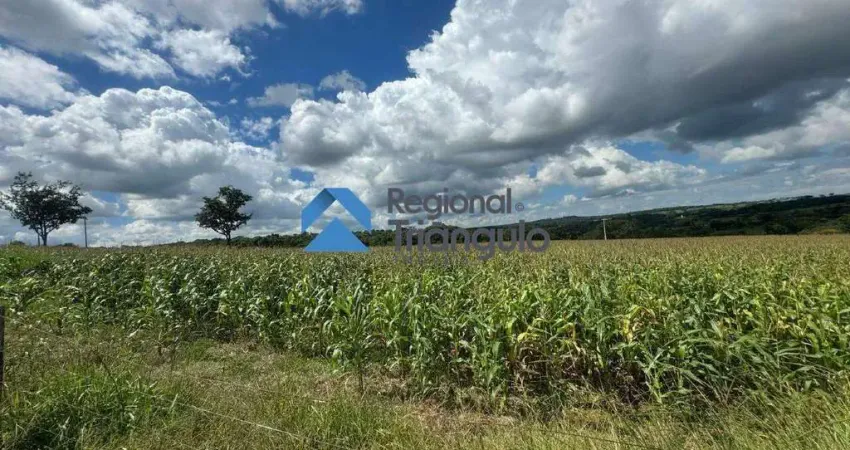 Chácara / sítio à venda na Área Rural de Uberaba, Uberaba 
