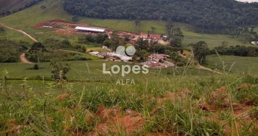 Fazenda à venda em Barbacena, Correia de Almeida, com 4 quartos, 30,2357ha