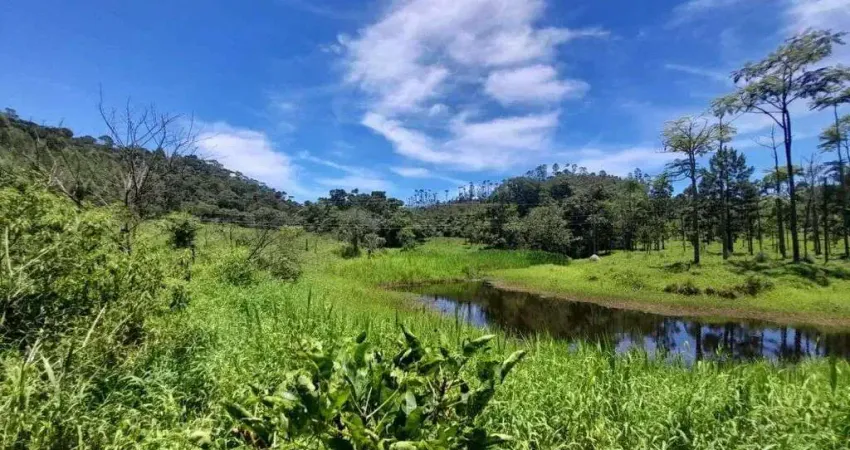 Fazenda à venda em barbacena, correia de almeida, com 4 quartos, 53ha