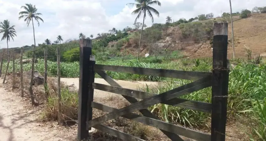 Sítio para Venda em Chã Grande, Zona Rural, 4 dormitórios, 1 suíte, 3 banheiros
