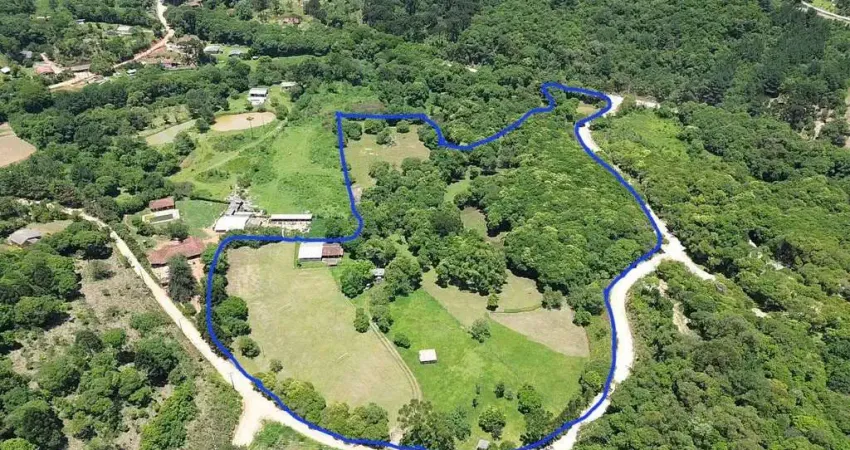 Chácara / sítio com 4 quartos à venda na conceição dos correia, Centro, Campo Magro