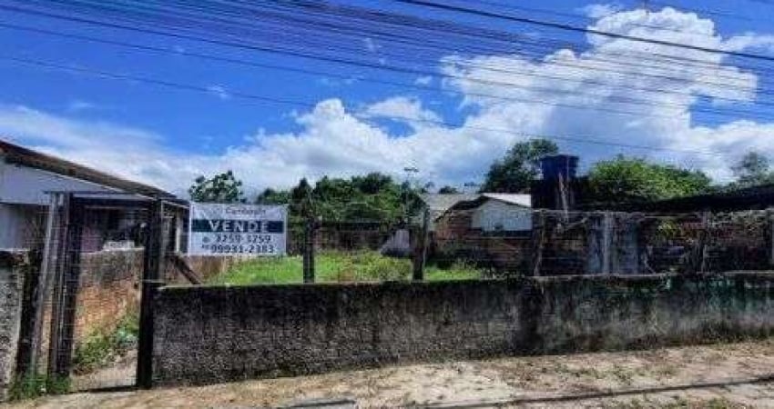erreno à Venda em Caminho Novo, Palhoça - Oportunidade Imperdível!