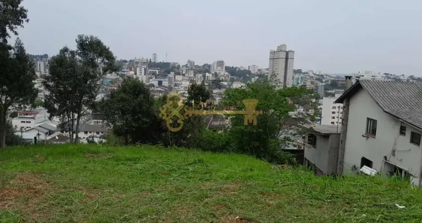 Excelente Terreno no bairro Petrópolis Caxias do Sul
