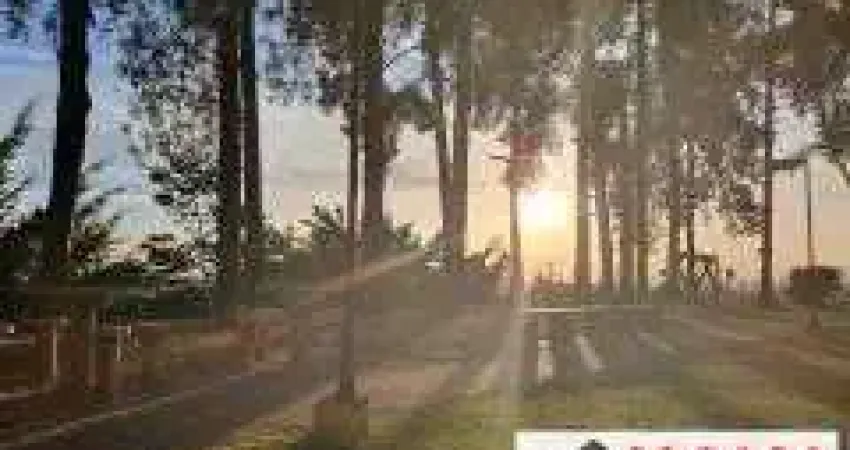 Apartamento com 3 quartos à venda no Jardim Santa Maria, São Paulo