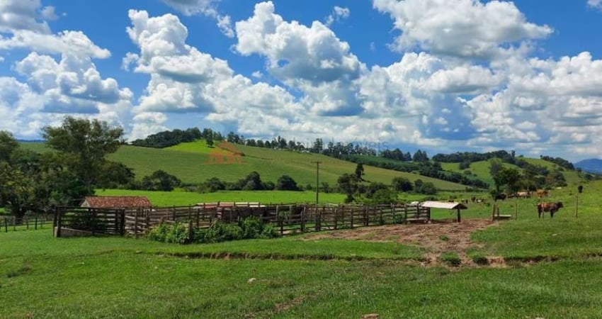 Fazenda para Venda em Serra Negra, Bairro da Serra