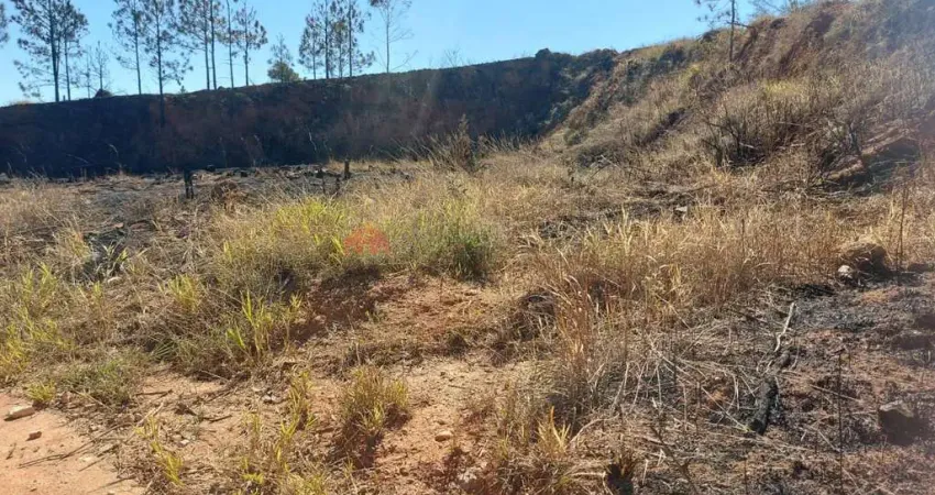 Terreno para Venda em Serra Negra, Bairro das Posses