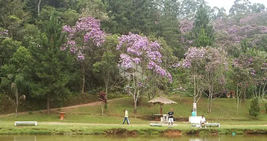 Pesqueiro para Venda em Itapecerica da Serra / SP no bairro Potuverá