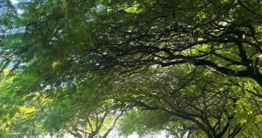 Terreno em Condomínio para Venda em Itupeva, Parque dos Resedás