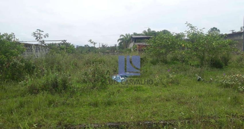 Terreno à venda, 360 m² por R$ 35.000,00 - Fluvila - Itanhaém/SP