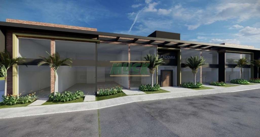 Apartamento para alugar no Primavera, Novo Hamburgo 
