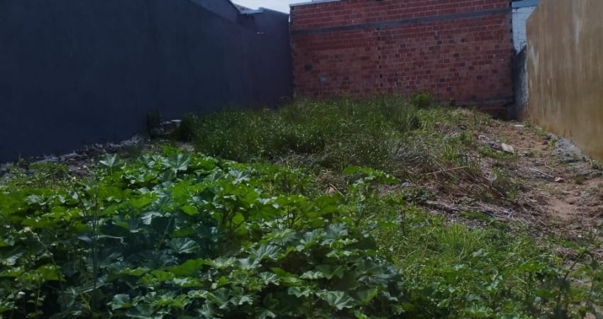 Terreno à venda no Tatuquara, Curitiba 