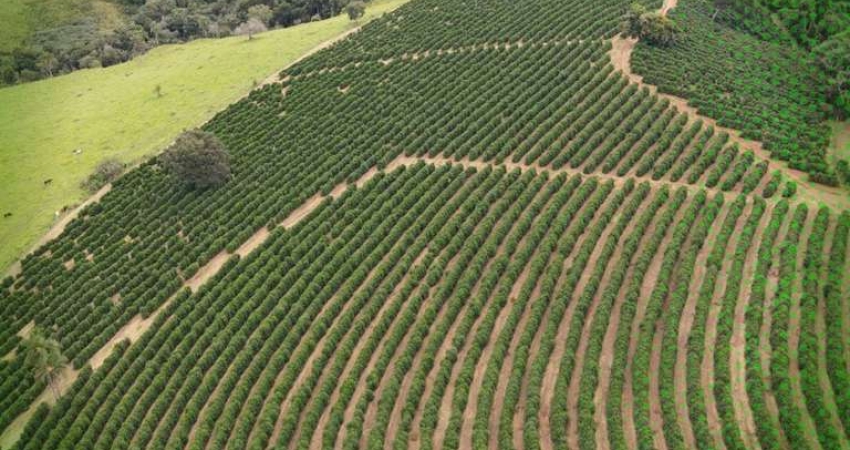 Fazenda à venda na Fazenda Roseirinha, Zona Rural, Bandeira do Sul