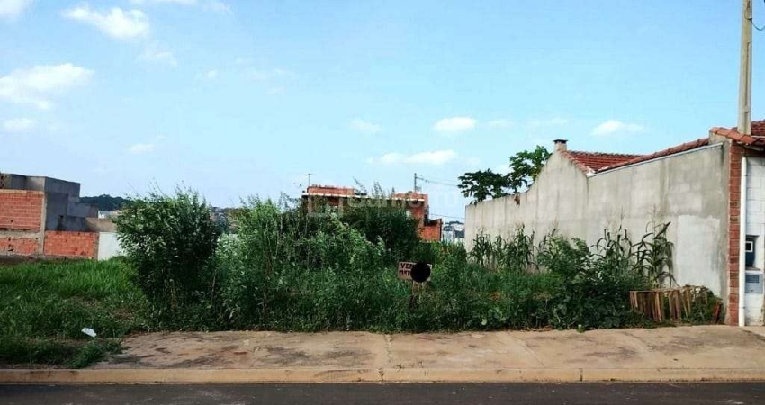Terreno à venda, 250 m² por R$ 225.000,00 - Vista Alegre - Santa Bárbara D'Oeste/SP