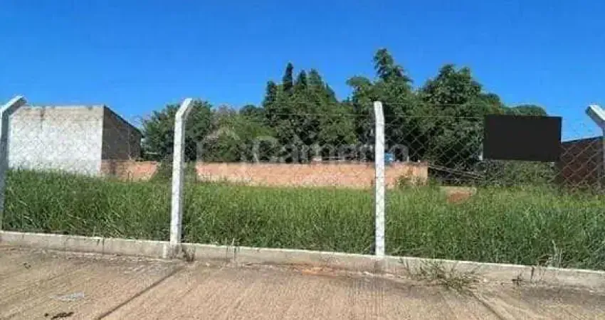 Terreno à venda, 250 m² por R$ 280.000,00 - Jardim Cândido Bertini - Santa Bárbara D'Oeste/SP