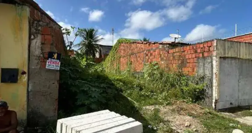 Terreno para Venda em Fortaleza, Conjunto Palmeiras