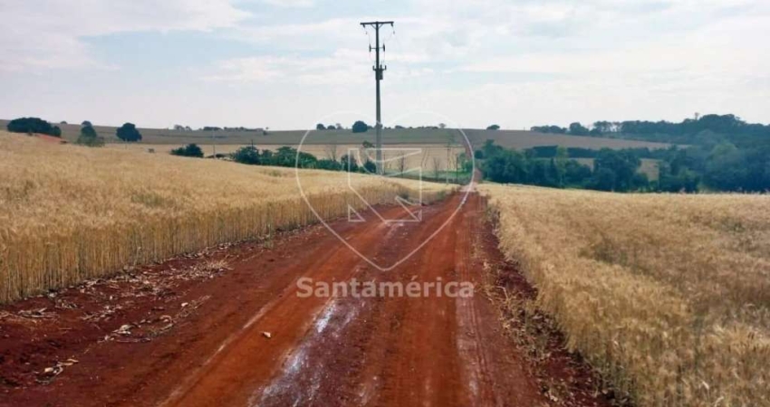 Terreno comercial para alugar na Rua Três, --, Património Regina, Londrina