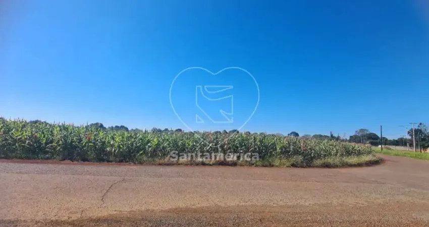 Terreno à Venda em Cambé - 23.000m² para Construção ou Investimento