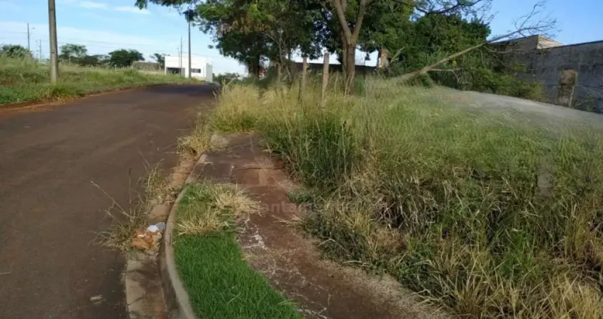 Terreno à Venda na Região Norte de Londrina