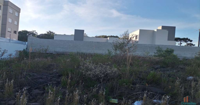 Terreno à venda na Nelson Borges de Souza, 1065, Nossa Senhora das Graças, Caxias do Sul