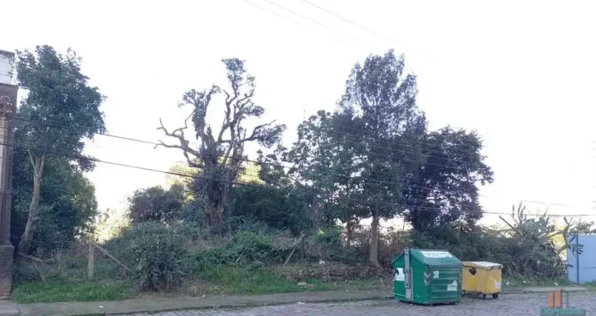 Terreno à venda na Rua Pedro Pezzi, Panazzolo, Caxias do Sul