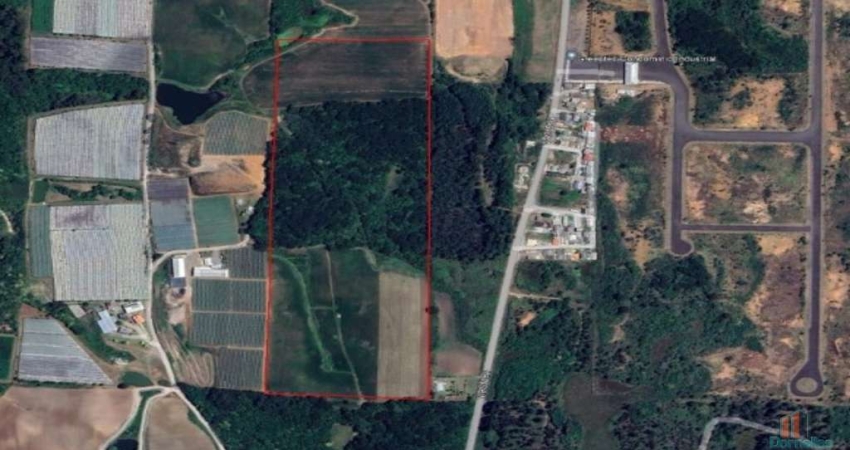 Terreno à venda na Rodovia RSC-122, Forqueta, Caxias do Sul