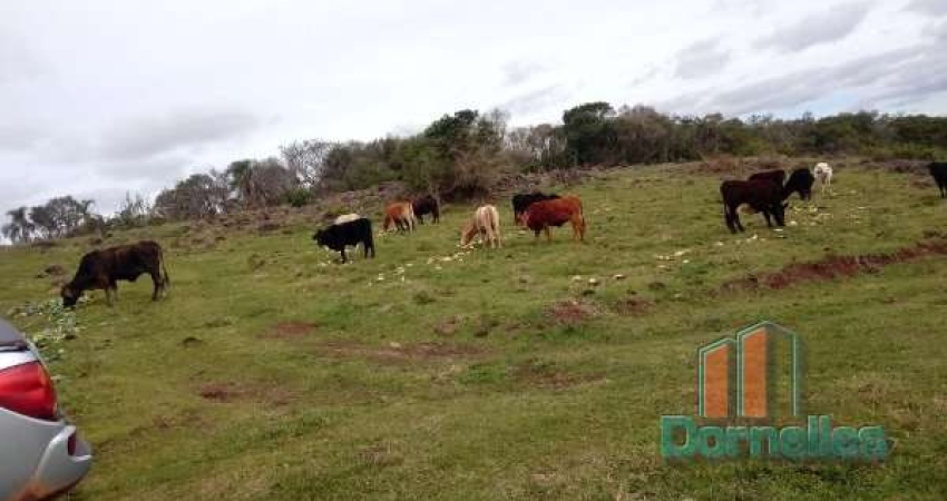 Chácara / sítio à venda na Arcido Giacomo Dall'agnol, 00, Santa Lúcia do Piaí, Caxias do Sul