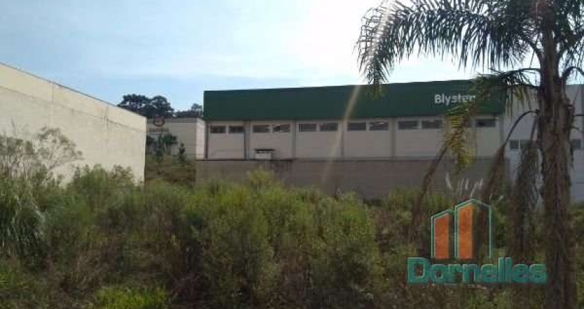 Terreno à venda na Ely Luiz Scalabrin, 02, Sanvitto, Caxias do Sul