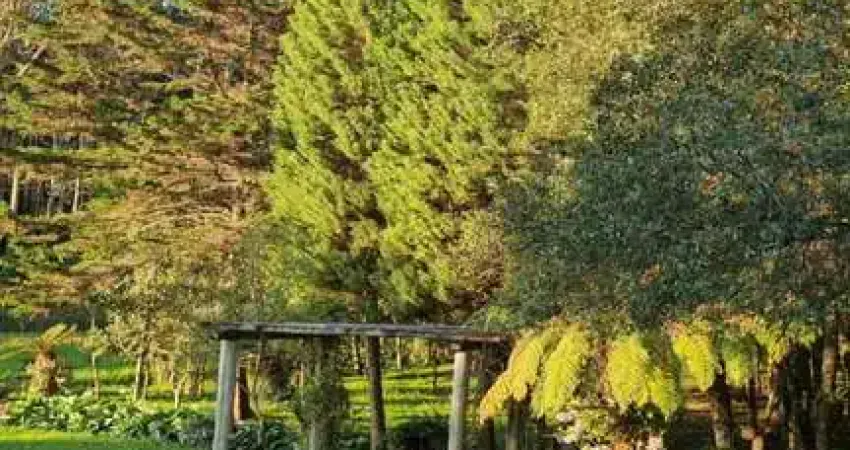 Chácara / sítio à venda na Fazenda Souza, Caxias do Sul 