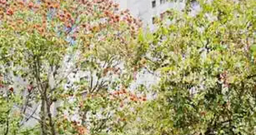 Apartamento com 4 quartos à venda na Avenida Princesa D'Oeste, 1295, Jardim Proença, Campinas