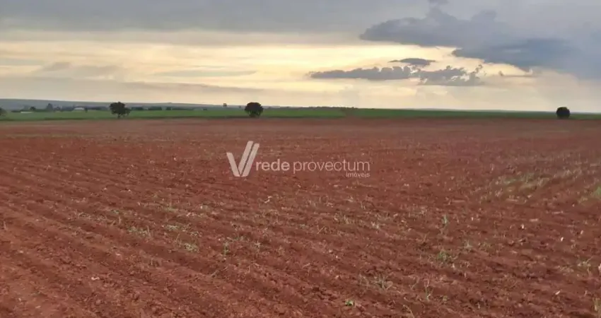 Chácara / sítio à venda na dos Soldados Constitucionalistas, s/nº, Fazenda Velha, Nova Odessa