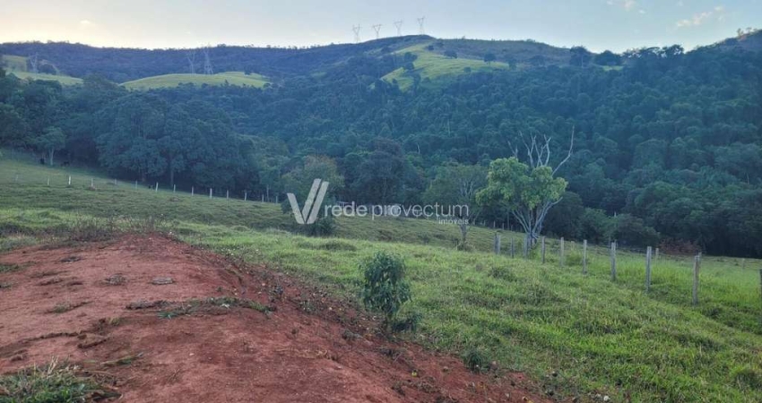 Terreno comercial à venda na Rodovia Mg 290 - Km 86 - III, s/n°, Zona Rural, Jacutinga