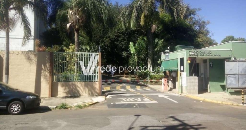 Apartamento com 2 quartos à venda na Rua Albatroz, 65, Vila Padre Manoel de Nóbrega, Campinas