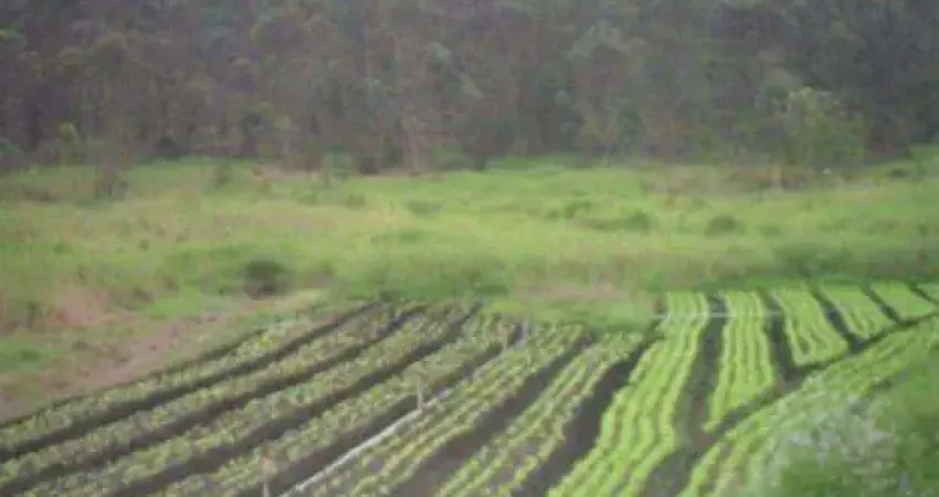 Área à venda, 62635 m² por r$ 2.318.000,00 - vila aparecida - suzano/sp