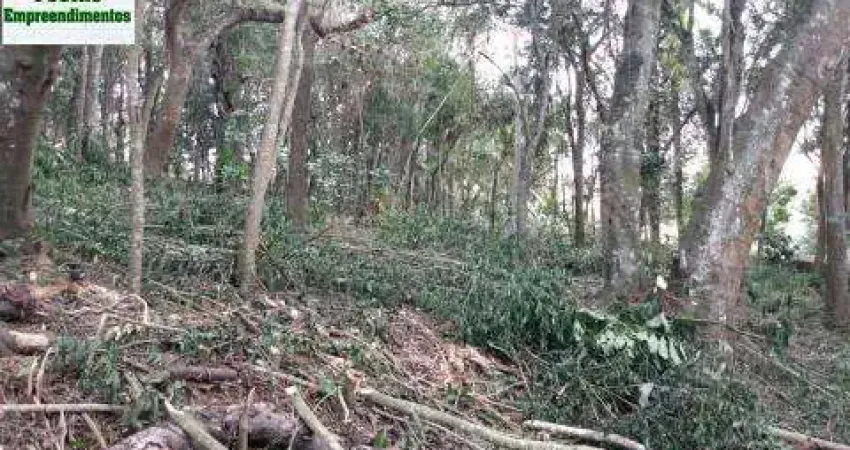 Área industrial à venda,  6.326m² por r$ 650.000 - jardim verão (santa luzia) - ribeirão pires/sp