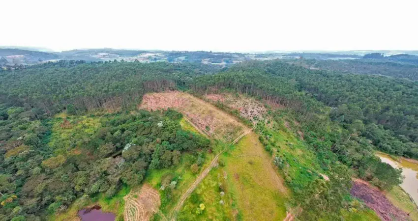 Área à venda, 169400 m² por r$ 5.750.000,00 - centro - biritiba mirim/sp