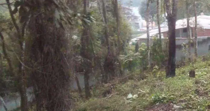 Terreno à venda, 600 m² por r$ 150.000,00 - vila rica (santa luzia) - ribeirão pires/sp