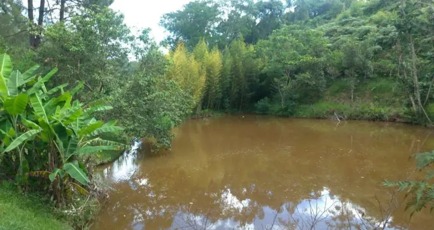 Terreno à venda, 3500 m² por r$ 300.000,00 - ferreiras - nazaré paulista/sp